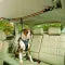 Pet Safety Belt – Dual-Purpose Car Lanyard